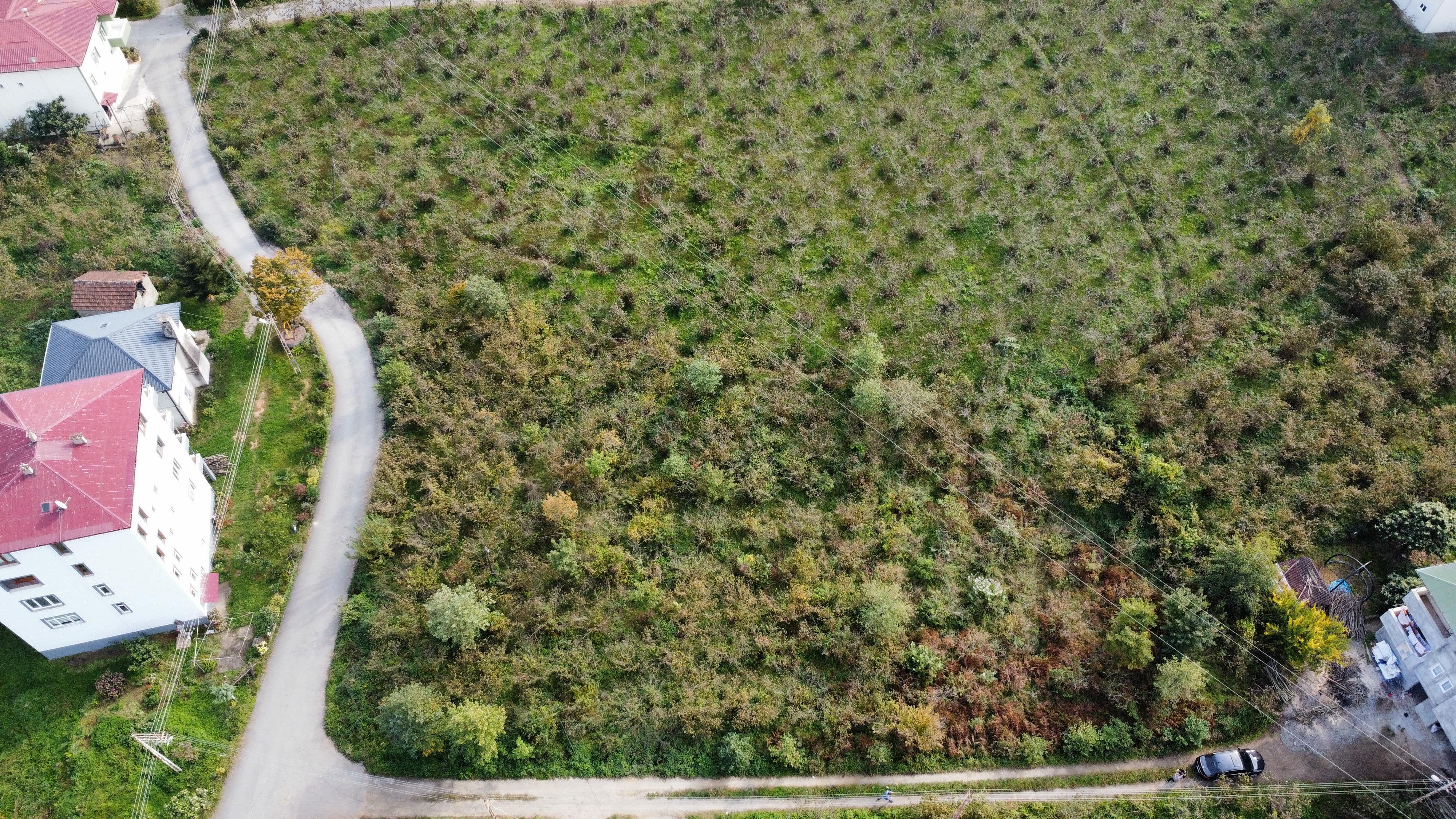 MABEL GAYRİMENKUL ARSİN ANAYOLA YAKIN 1.100 M2 İMARLI ARSA